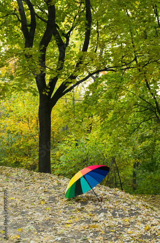 Umbrella in the autumn park