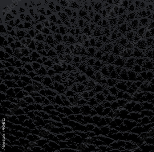 Leather texture vector