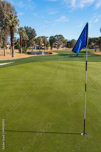 Golf course green with flag in hole