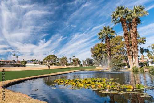 Golf water hazard with a fountain and trees photo