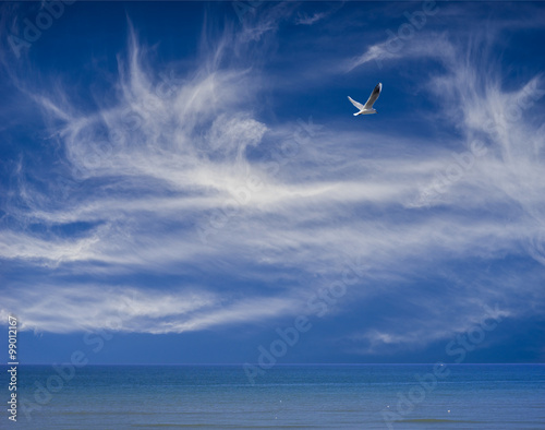 Ozean und Himmel mit Federwolken und Möwe – Freiheit