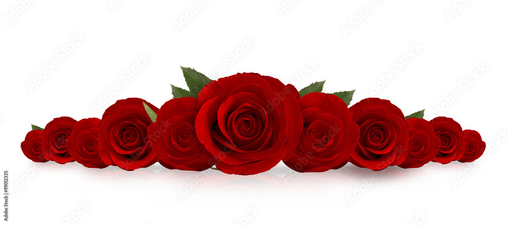 Naklejka premium red roses flower with white background