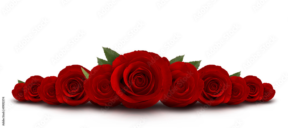 Fototapeta premium kwiat czerwonych róż z białym tłem