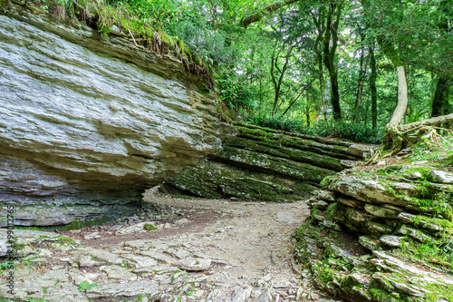 Trail passes through the stone labyrinth in the subtropical fore