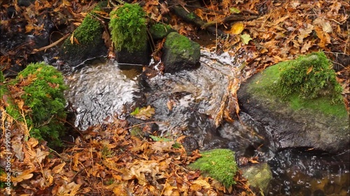 Natürlicher Bach fließt im herbstlichen Wald in Vogelperspektive