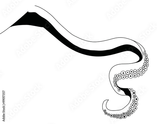 Tentacolo di calamaro gigante