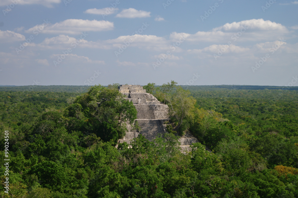 The pyramid structure of 1 in the complex rises over the jungle