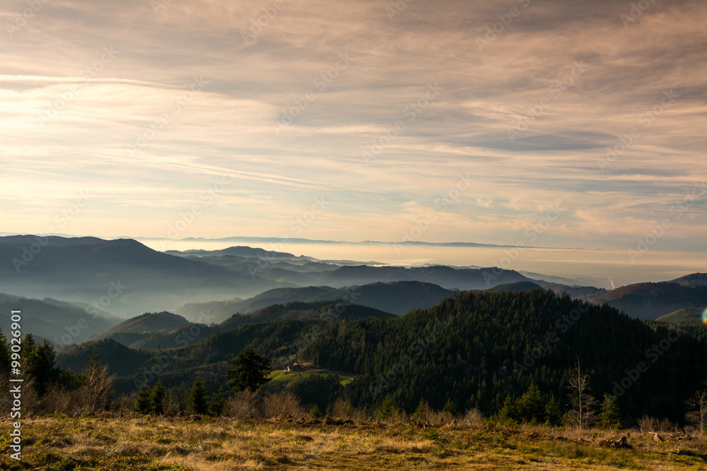 Schwarzwald - Zuflucht Schwarzwald - Zuflucht