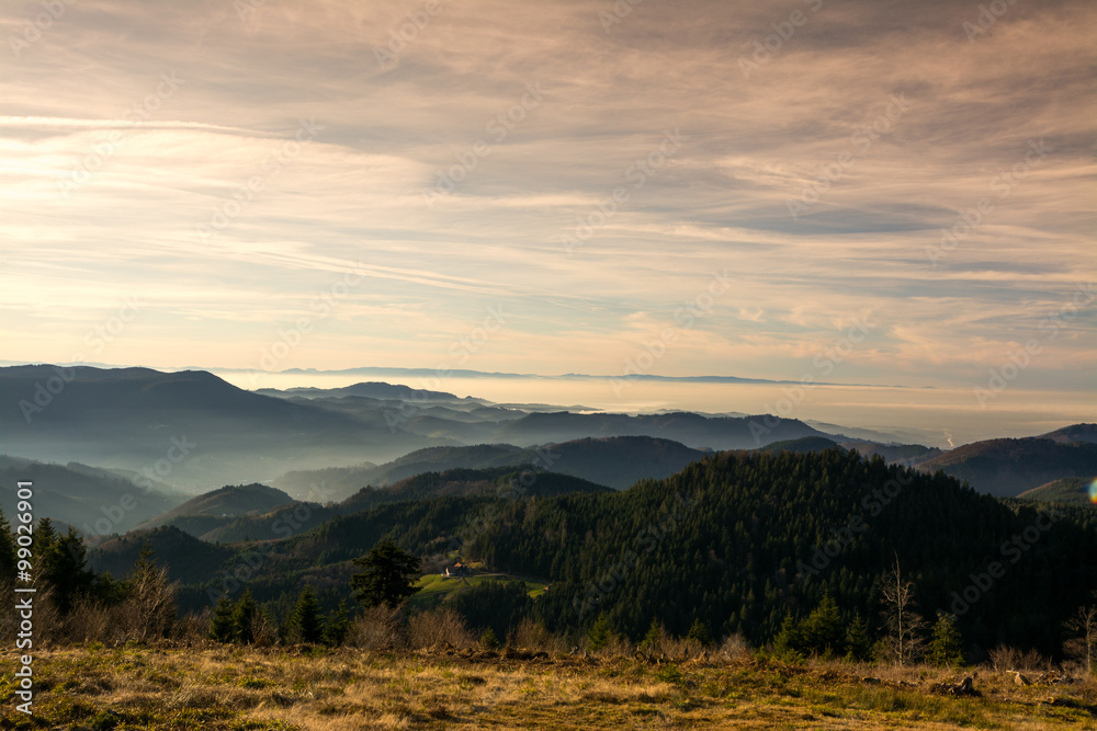 Schwarzwald - Zuflucht