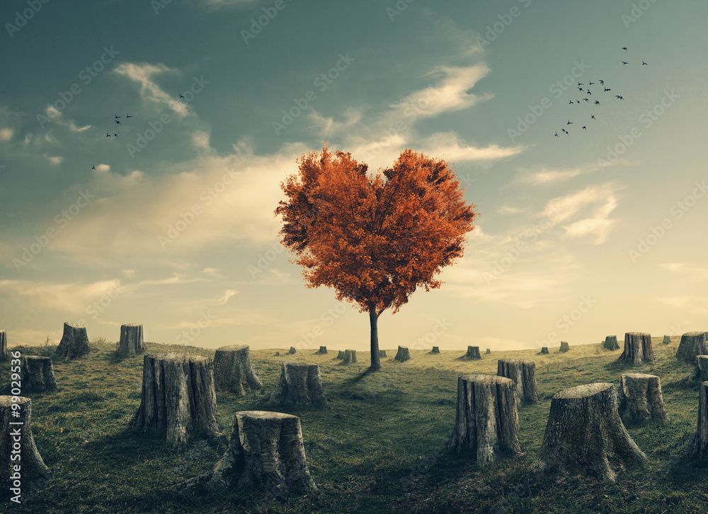Heart shaped tree in cleared forest - obrazy, fototapety, plakaty 