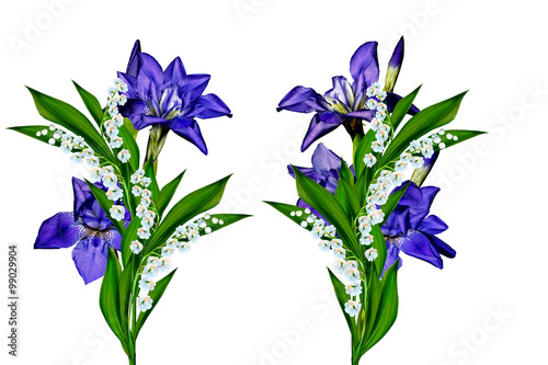 Fototapeta Naklejka Na Ścianę i Meble -  Blue flowers irises isolated on white background