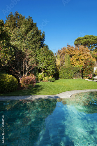 beautiful garden with pool