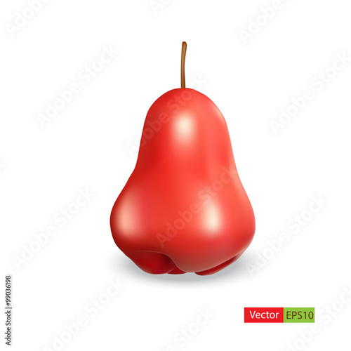 Rose Apple isolated on white background.