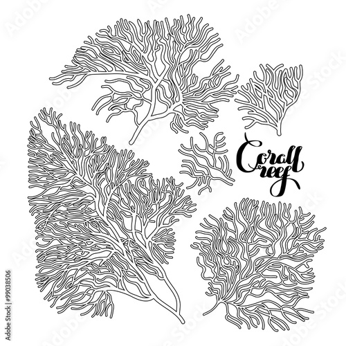 Graphic coral collection