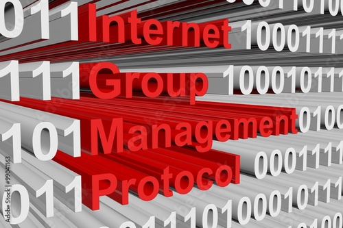 Internet Group Management Protocol in a binary code