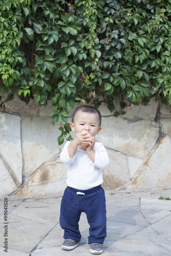 Cute Chinese baby boy eating an apple Cute Chinese baby boy eating an apple