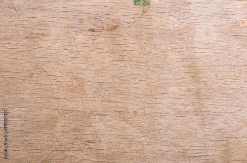 Texture of wood background closeup
