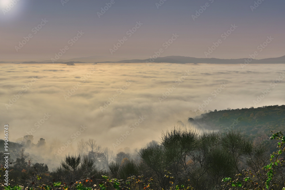 natura e clima Stock Photo | Adobe Stock