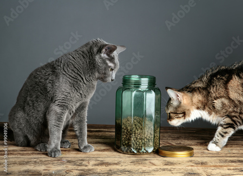 Fototapeta Naklejka Na Ścianę i Meble -  Cats and Cat Food in Glass