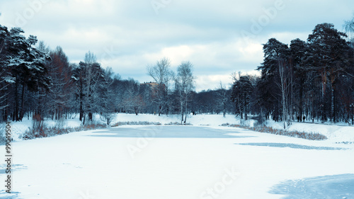 Frozen lake in park © Syomin_Nikita