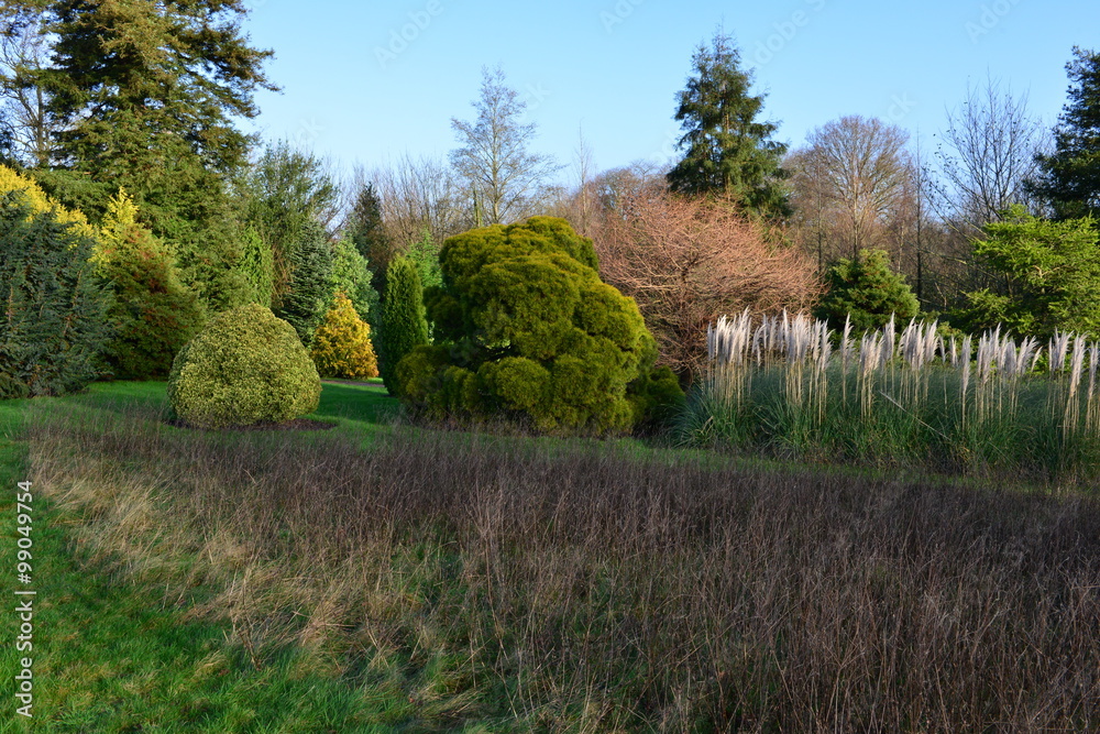 Fototapeta premium An English country garden in winter time. 