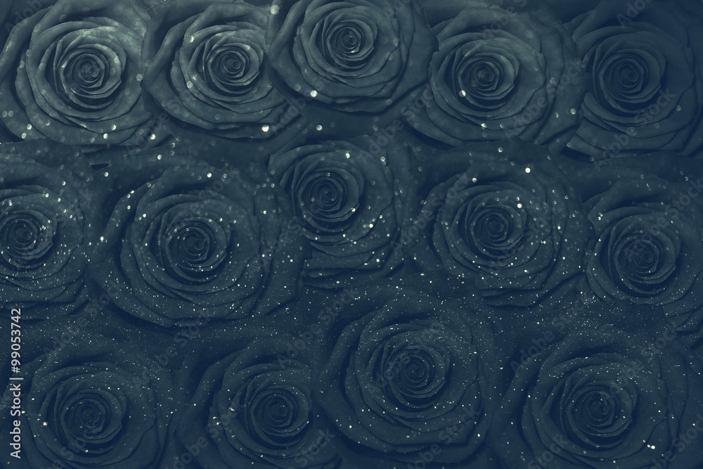 black roses background black roses background