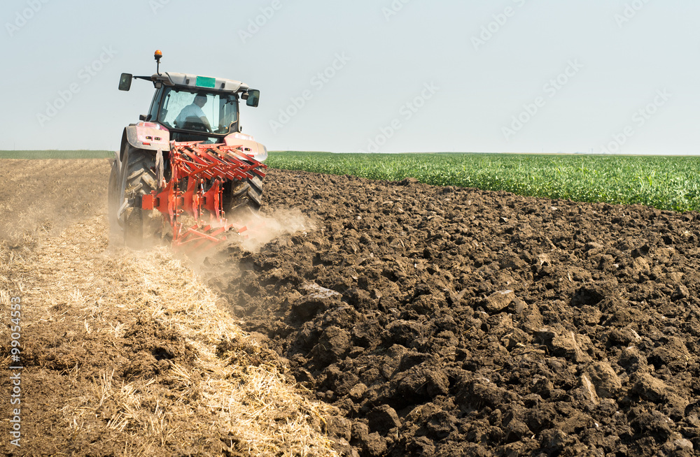 Fototapeta premium Tractor plowing field