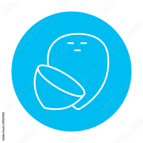 Coconut line icon.
