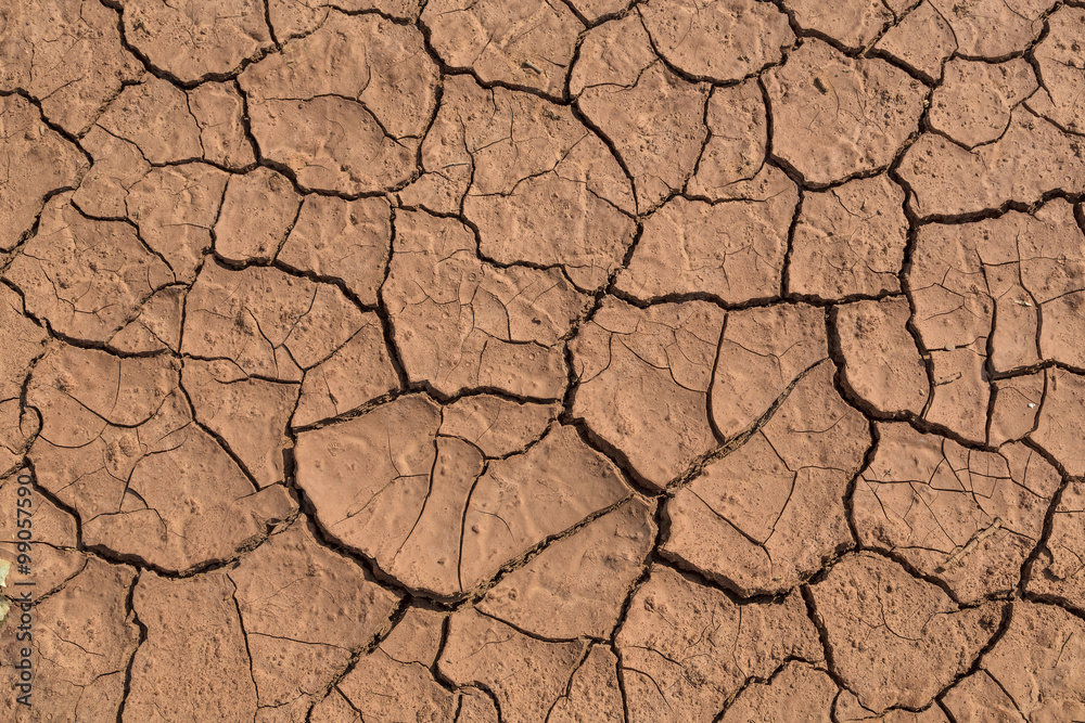Dry Red Cracked Mud Dry Red Cracked Mud