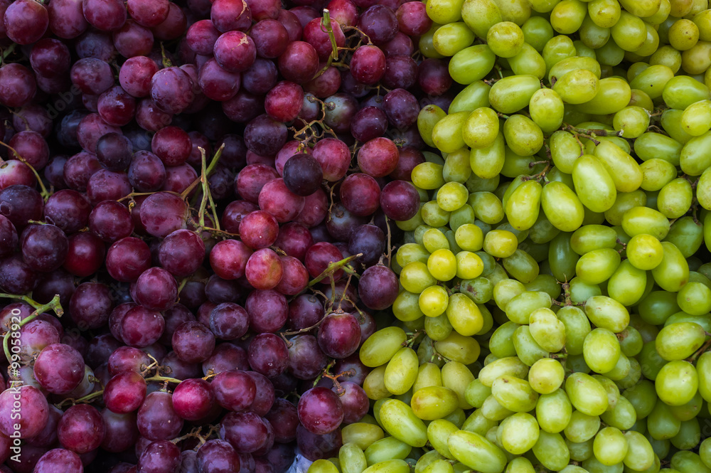 Grapes two-kinds Grapes two-kinds