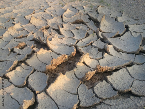 Top soil degradation photo