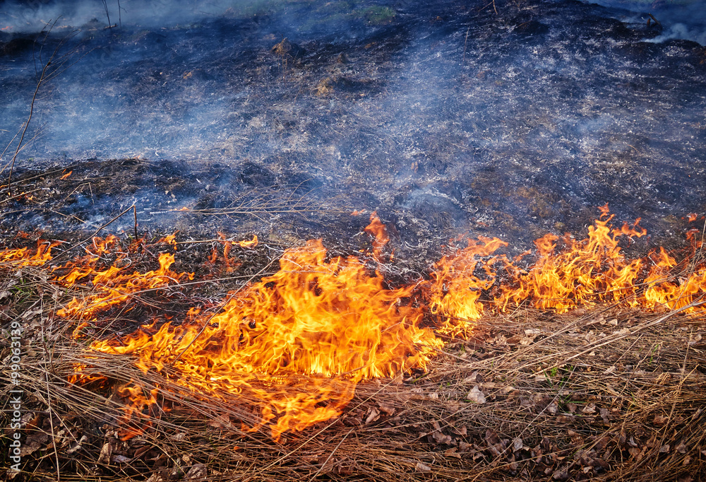 Burning Grass Burning Grass