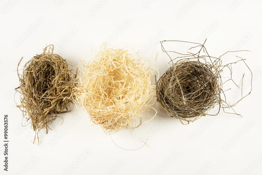 Obraz premium Three Natural Bird Nests