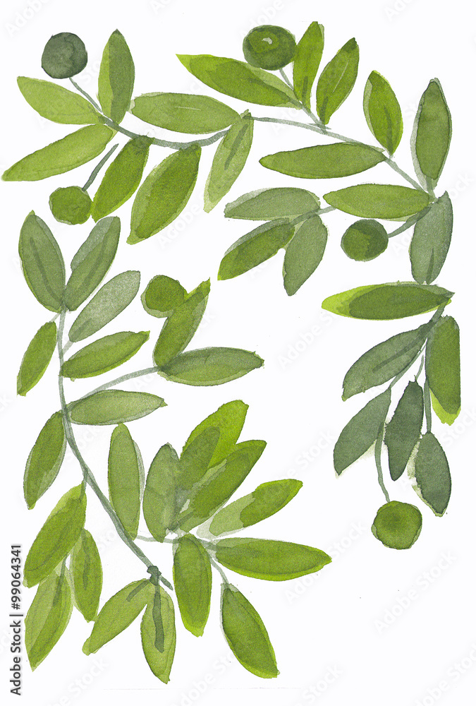 Background with leaves, branches and hand drawn. Watercolor design elements. Nature pattern