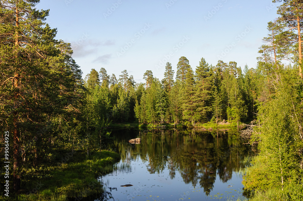 Small forest lake in Karelia