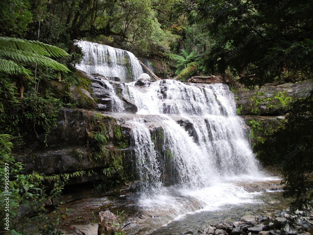 Liffy Falls, Tasmania 