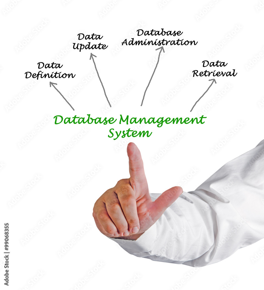 Diagram of Database Management System Diagram of Database Management System