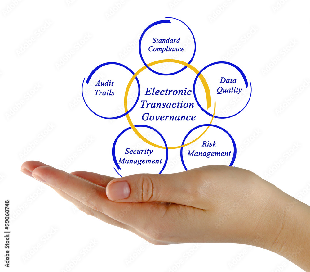 Electronic Transaction Governance Electronic Transaction Governance