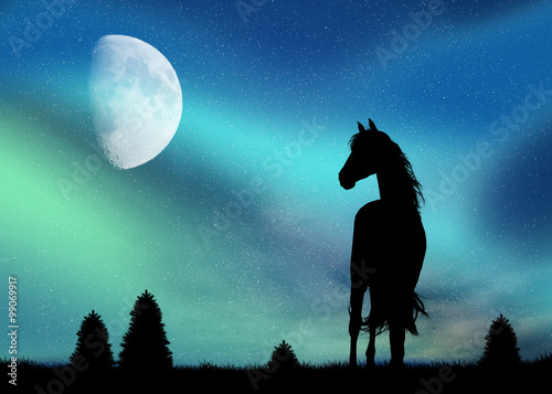 horse and Northern Lights © adrenalinapura