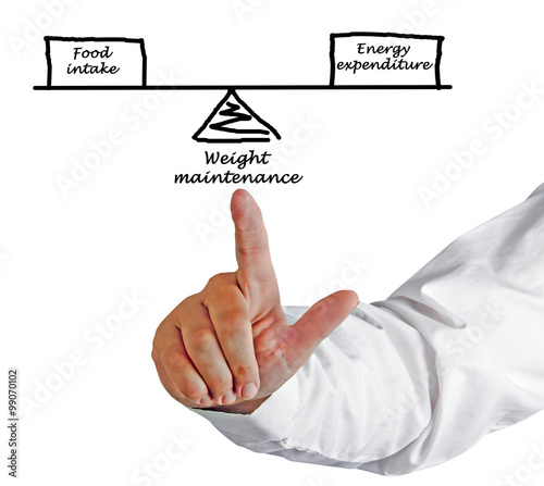 Balance between Energy intake and Energy expenditure