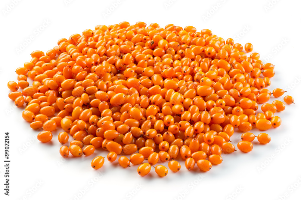 Sea buckthorn. Berries isolated on white background. Sea buckthorn. Berries isolated on white background.