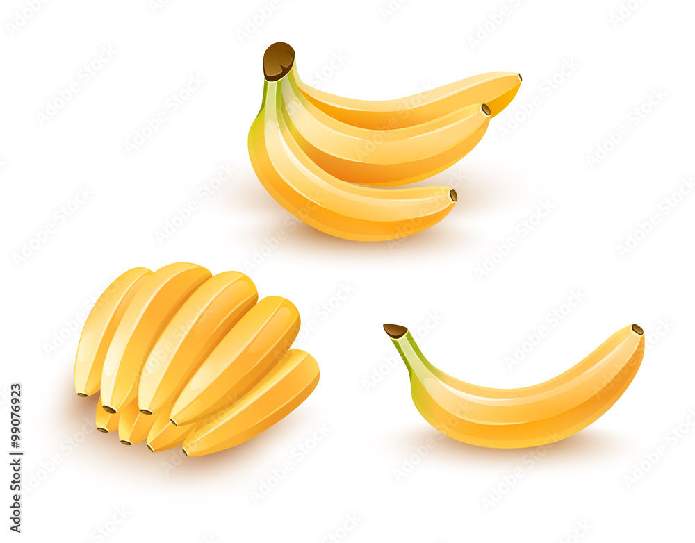 Set of isolated banana fruits. Eps10 vector illustration.