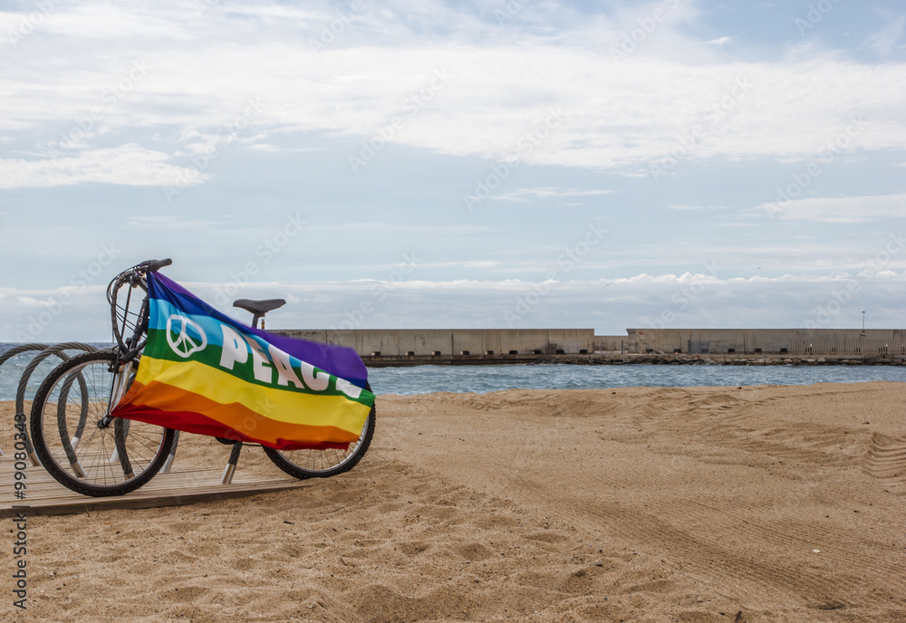 Gay and lesbian community flag on bicycle near the sea Gay and lesbian community flag on bicycle near the sea