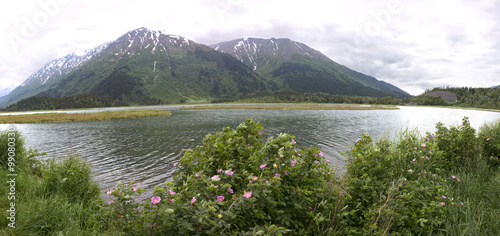 Panoramic view of nordic lake in Alaska