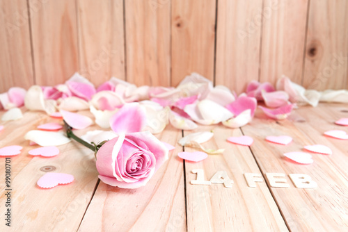 pink roses for valentines day