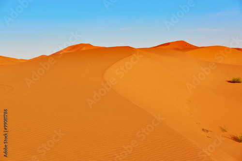 Sand dunes in the Sahara Desert