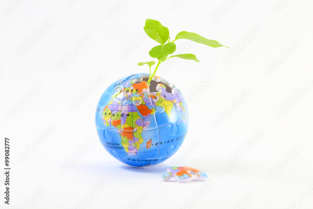 Plant coming trough incomplete jigsaw puzzle Plant coming trough incomplete jigsaw puzzle
