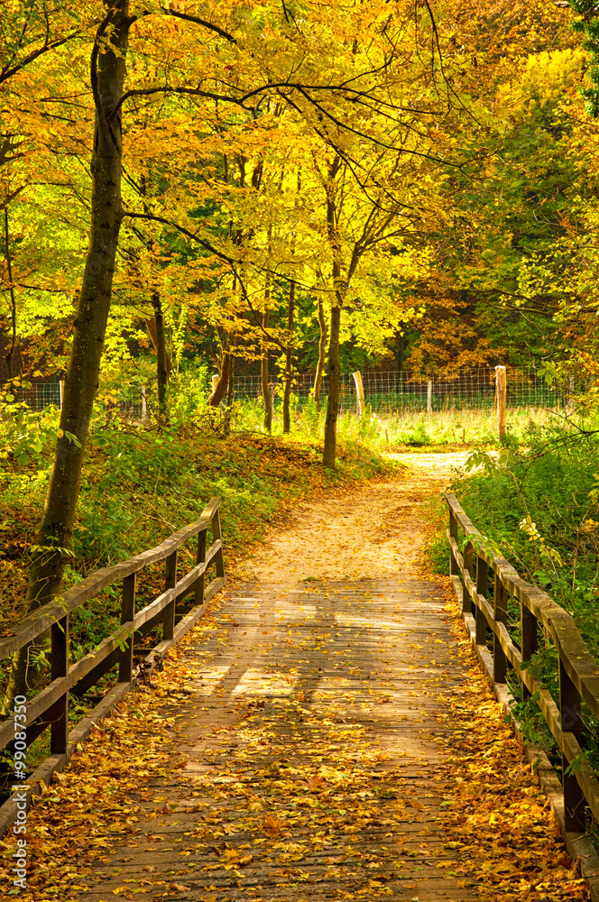 Nice autumnal scene Nice autumnal scene