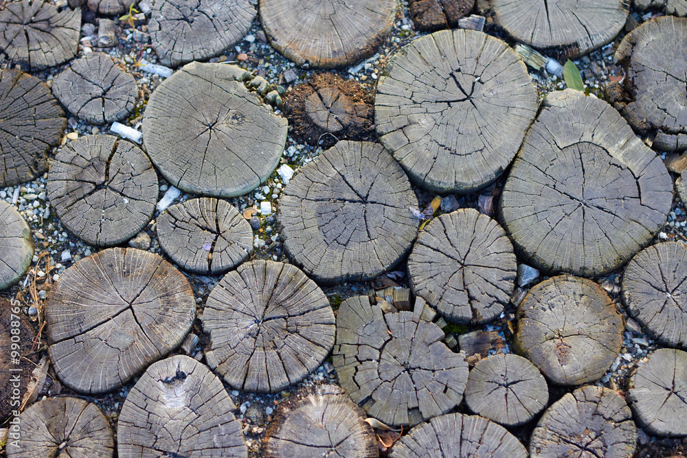 wood logs background