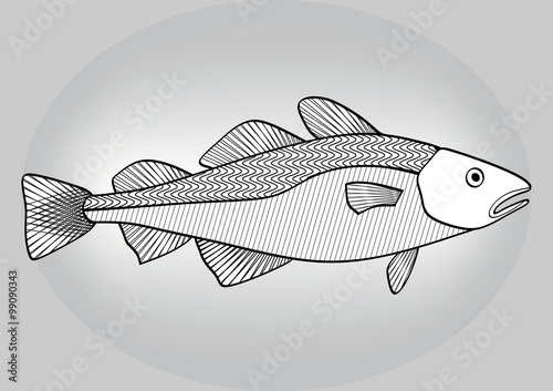 Cod, black and white hatched drawing a gray gradient background
